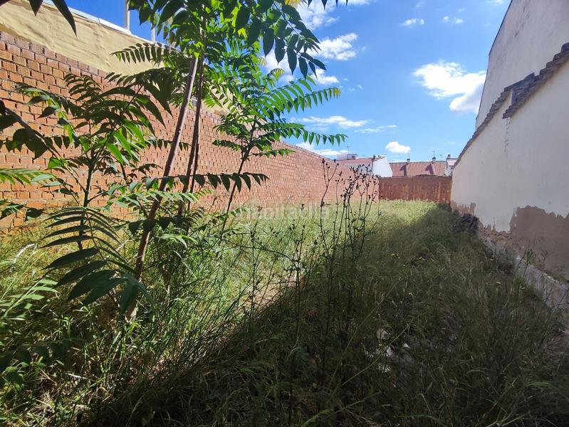 Foto d4775813-2912-49b1-a76d-3e6771f38ead. Terreny residencial a Tomelloso