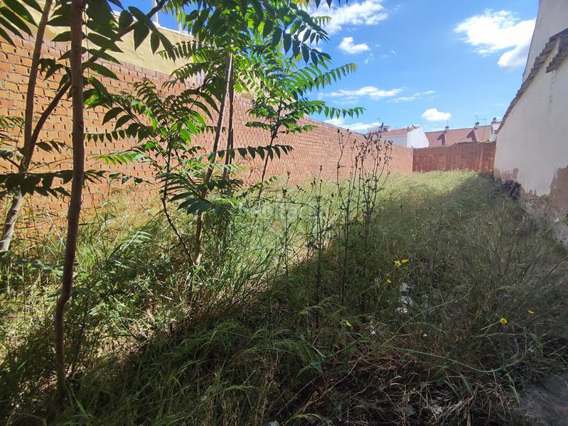 Foto ed291885-a75a-4a7e-94fc-fc7188a7d819. Terreny residencial a Tomelloso