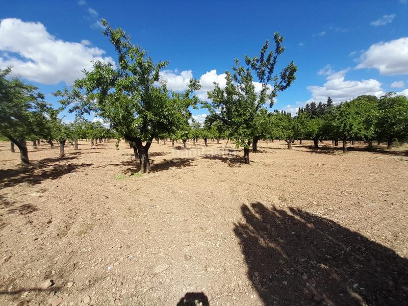 Foto 9fb18d75-104d-4bd9-bd19-ce86e89624eb. Masia a carretera puertollano-almodovar del campo 12 a Almodóvar del Campo