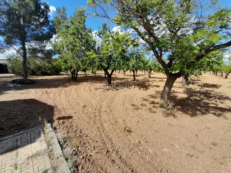 Foto e510eda0-59cb-4377-bdb0-d13dd86084e2. Masia a carretera puertollano-almodovar del campo 12 a Almodóvar del Campo