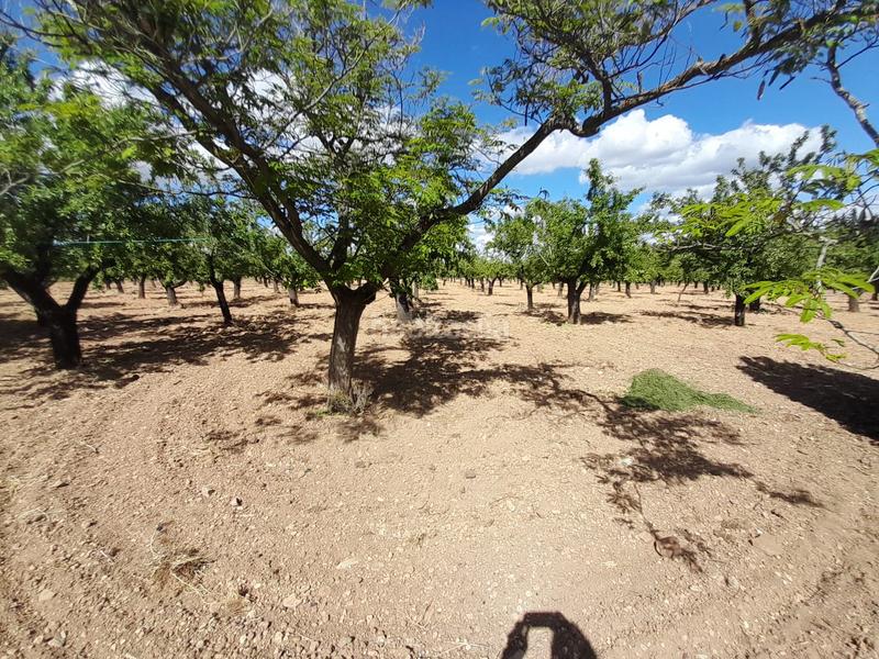 Foto fa69e7e9-be07-43fb-8931-0610199a3997. Masia a carretera puertollano-almodovar del campo 12 a Almodóvar del Campo
