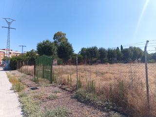 Solar industrial  Calle socuéllamos. Conjunto de 3 parcelas (1.270 m2) cada una. en el polígono larac