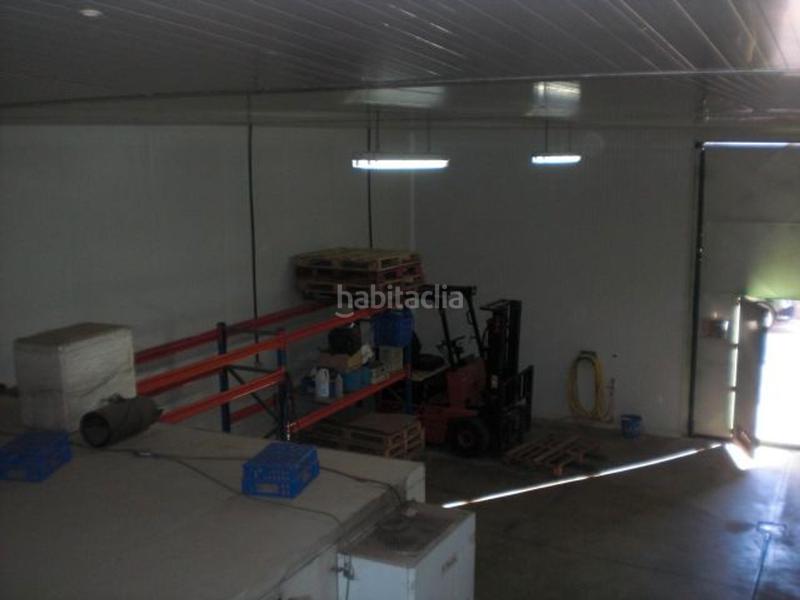 Foto 636cdb19-88fa-4712-8a53-42cab581d6b4. Nau industrial a Almodóvar del Campo