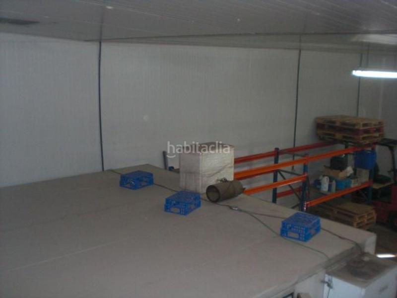 Foto d1cca0a0-7465-422d-b35c-de535fe84742. Nau industrial a Almodóvar del Campo