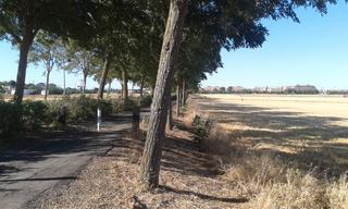 Finca rústica  Poblado poblachuela anj. Se vende finca rustica junto a la via verde. 6.900 m2