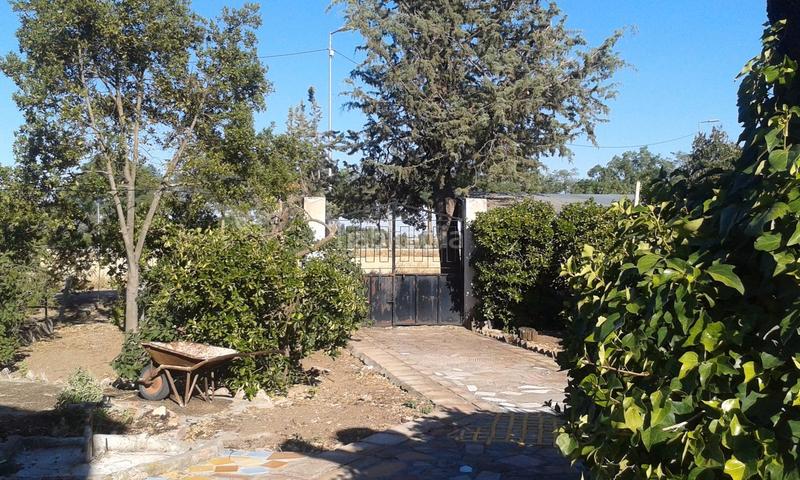 Foto 037b6c8e-f2be-42b7-8ded-dee60dae5d95. Rural plot in La Poblechuela Ciudad Real