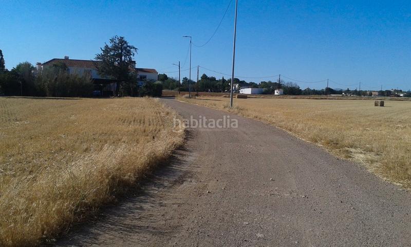 Foto 1bf1facc-5de2-4194-850c-5bc8d5d65b2f. Rural plot in La Poblechuela Ciudad Real
