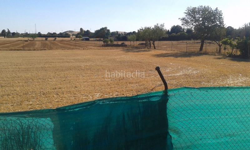 Foto 31d23152-382b-4080-8afb-e9a00243c74e. Rural plot in La Poblechuela Ciudad Real