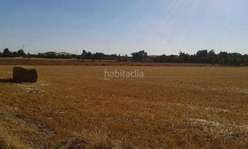 Foto 3ba8767b-d873-46f0-8f7e-4db2f4ea0d90. Rural plot in La Poblechuela Ciudad Real