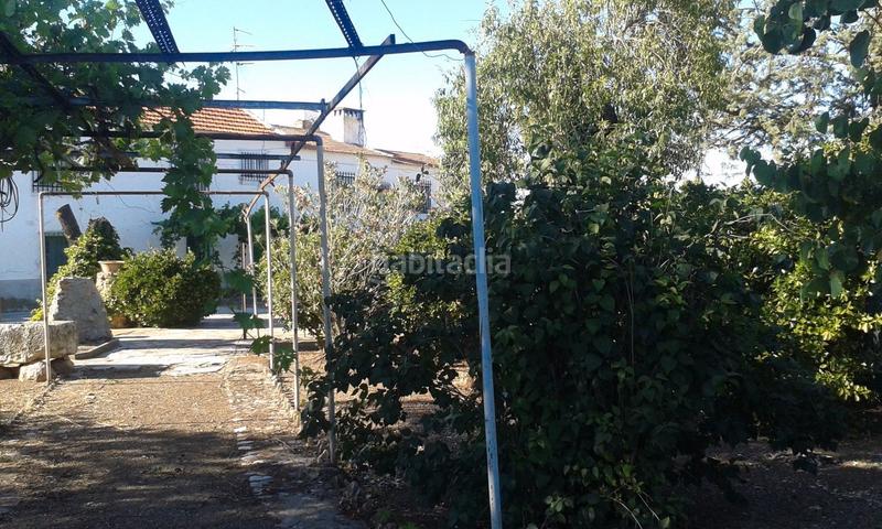 Foto 6f0e45a6-cc56-43c0-bce4-09ad2b405c7b. Rural plot in La Poblechuela Ciudad Real