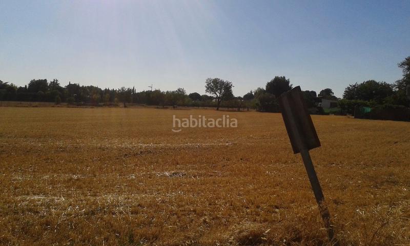 Foto 74d682b6-a347-43a9-8ef4-0fbdb31a0fbc. Rural plot in La Poblechuela Ciudad Real