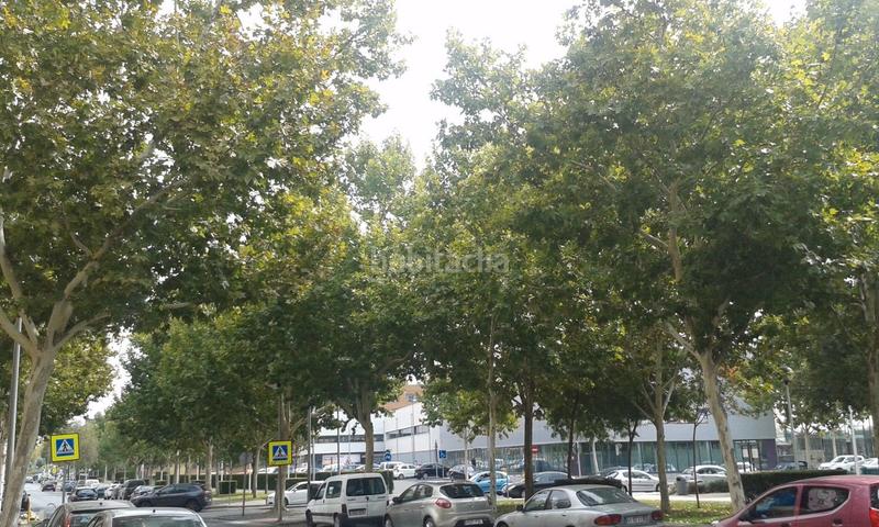 Foto 6f0f5017-6db9-4695-87e5-f51688e0a580. Autoparkplatz in Larache Ciudad Real