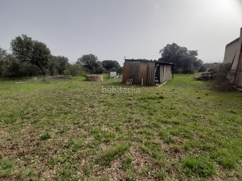 Foto 5a46c347-a68d-421a-bddd-fe7464fb9e62. Masia amb piscina a Brazatortas