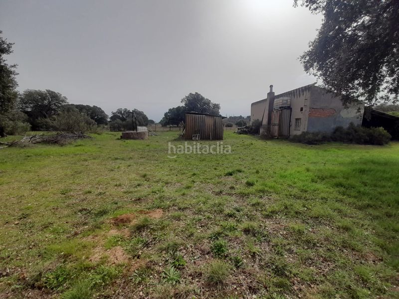 Foto cbdc34d7-2d44-440a-badf-4f467839e179. Masia amb piscina a Brazatortas