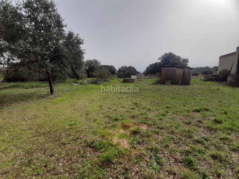 Foto f33ef7c2-e873-456b-99b3-a4f6d164087e. Masia amb piscina a Brazatortas