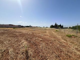 Finca rústica  Camino herencia 3. Suelo rustico frente plaza de toros villarrubia de los ojos