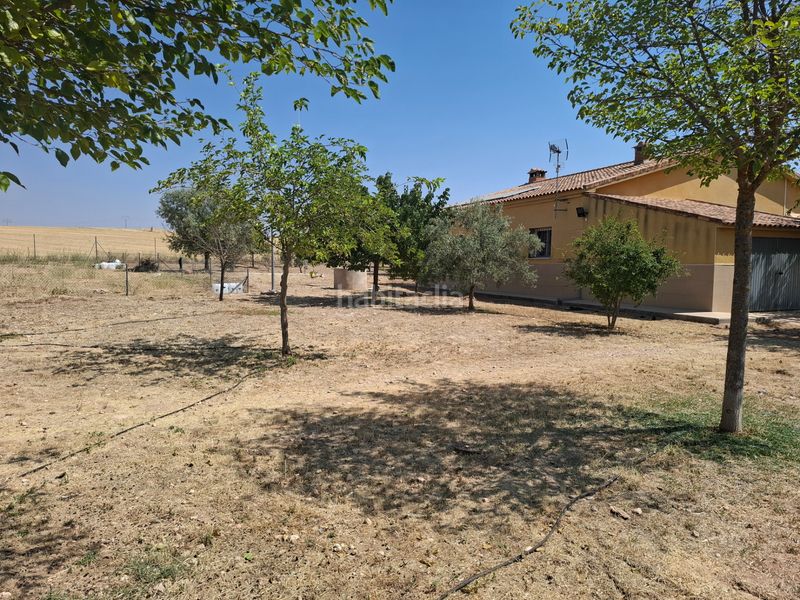 Foto e5b9fd6a-698b-4c48-baaf-19742bedca54. Bauernhof mit heizung parking pool in Fernancaballero