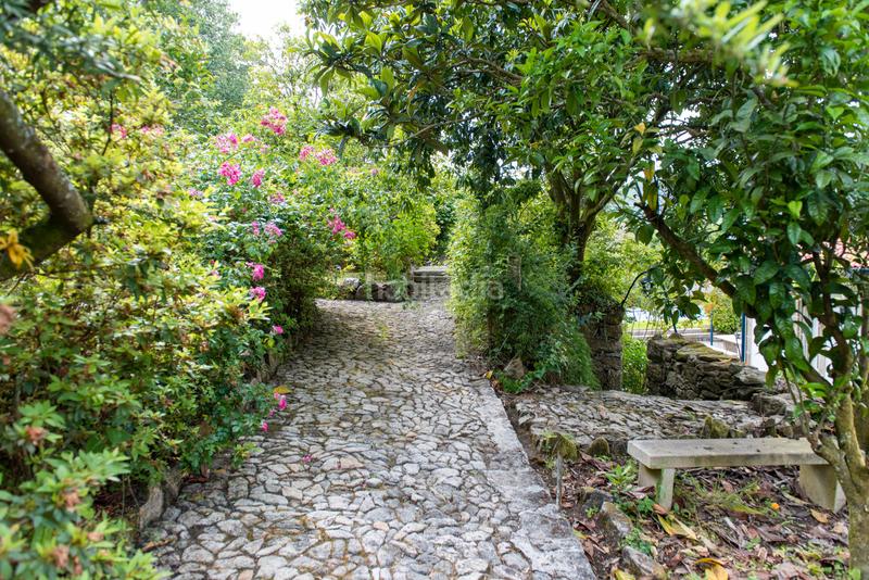 Foto cef9e2a0-55fa-40e3-bcc1-5f25dd2c073a. Alquiler chalet en Redondela