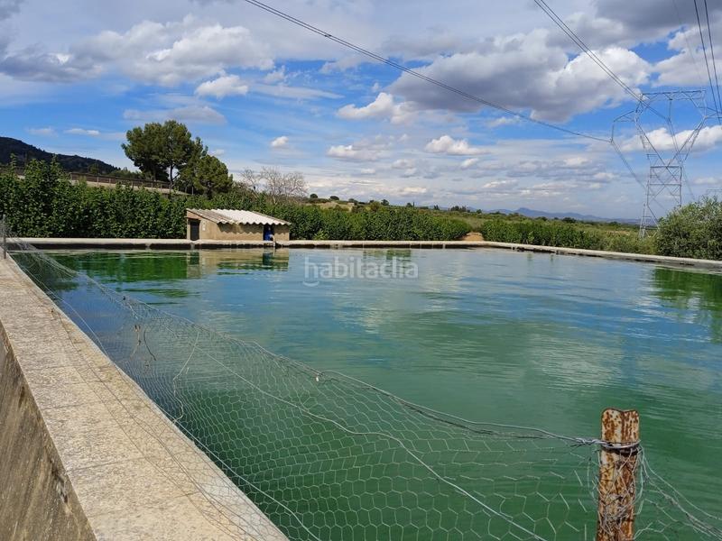 Foto 518b0efa-5ca9-4685-aa2b-2f558185ad34. Finca rústica a n/a a Almoster