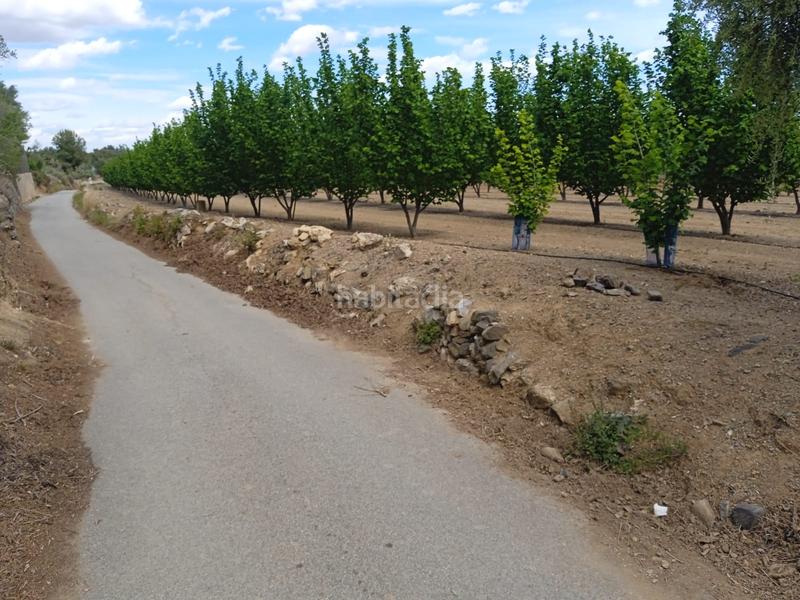 Foto 7ddcf6fc-dbd4-49e2-862c-3cdc7277557d. Finca rústica a n/a a Almoster