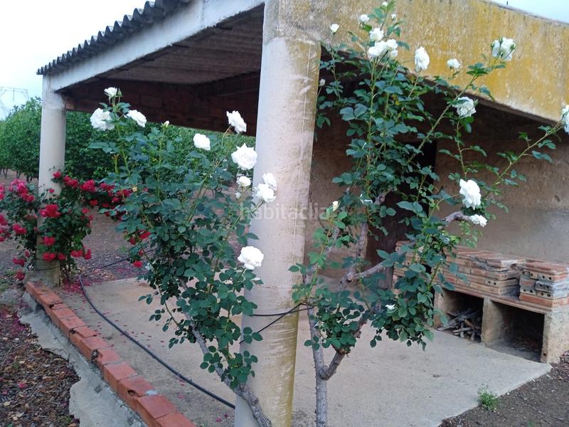 Foto a961f893-04e6-4da2-97ee-595c246220ac. Finca rústica a n/a a Almoster