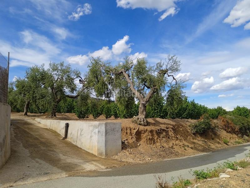 Foto a9885b43-cda4-4813-bb06-e4d1455f5056. Finca rústica a n/a a Almoster