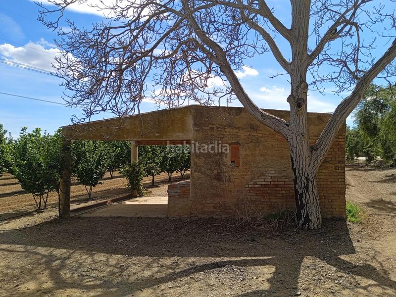 Foto b7dca326-d052-40d6-bdf3-0ba4d743e4ff. Finca rústica a n/a a Almoster