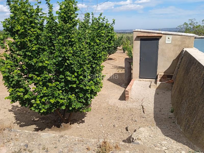 Foto b7e43aad-f98d-44c5-a8fa-cc99b8f750e5. Finca rústica a n/a a Almoster