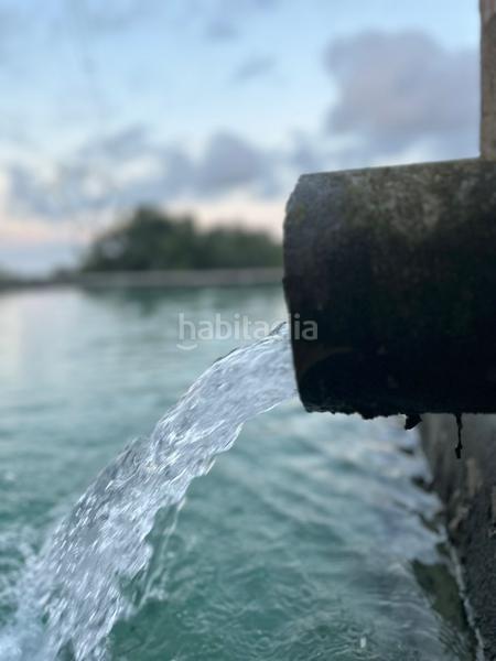 Foto cb4eb6e7-b6ac-4229-9f47-fb330afe11dc. Finca rústica a n/a a Almoster