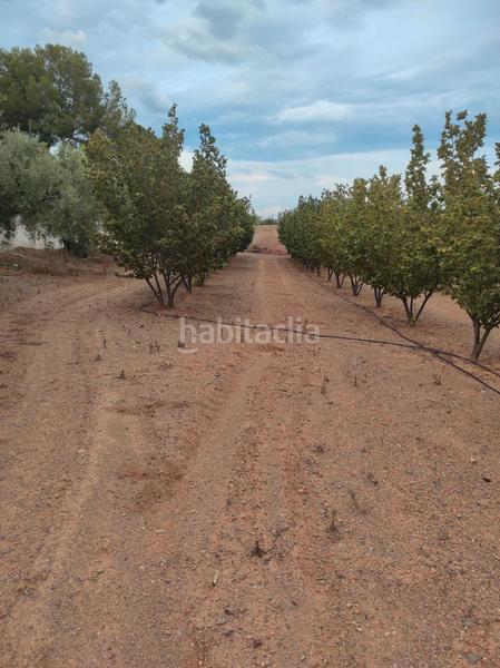 Foto d7f925f9-b2d9-48c3-b1d8-bb31462ad0db. Finca rústica a n/a a Almoster