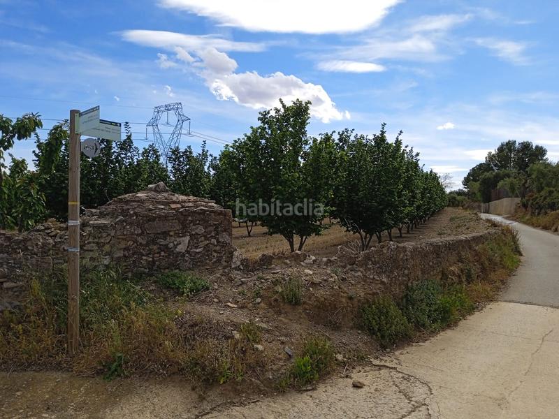 Foto fe153ae2-2099-45d6-9f23-54c156a92beb. Finca rústica a n/a a Almoster