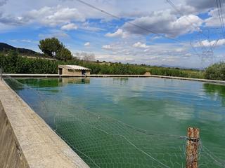 Finca rstica a Cam de la creu 5. Finca almoster, reus