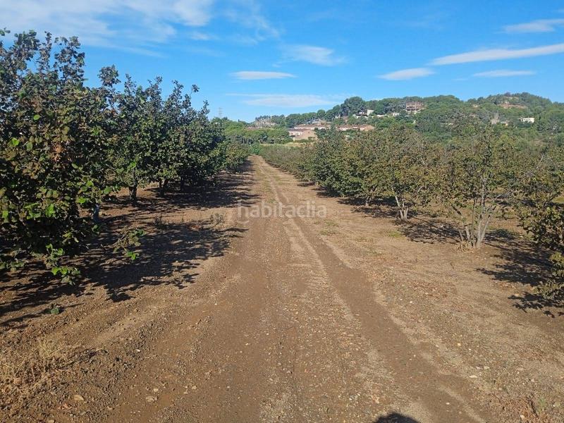 Foto 6ae4f901-54fa-4810-8906-ee9ca83c5123. Propriété dans carretera d'almoster 5 dans Castellvell del Camp