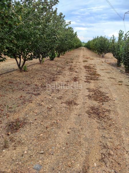 Foto 9cc2d19e-9e38-4523-98e9-9737165edc3f. Propriété dans carretera d'almoster 5 dans Castellvell del Camp