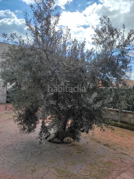 Foto f0d2a4c1-d6c9-4162-9e10-5a91293f6c8c. Chalet  centrico en Morell (El)