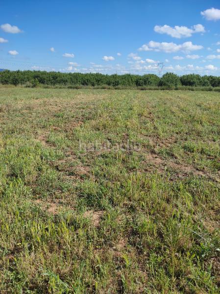 Foto 036b1af4-9e45-4eaf-82db-25f9f11e4ff3. Finca rústica a avinguda camí de reus 1 a Morell (El)