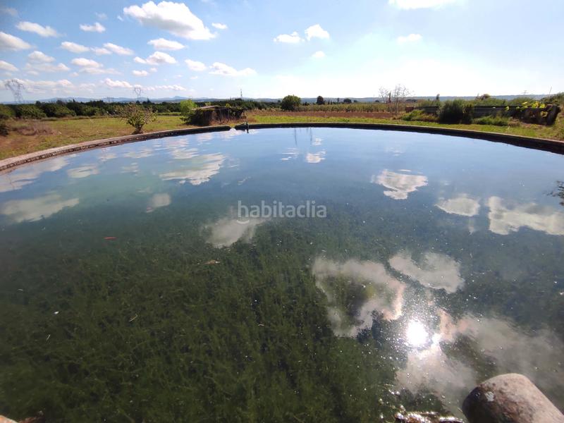 Foto 3c1aabe6-ccf0-4dd2-a118-0db91748c7b1. Finca rústica a avinguda camí de reus 1 a Morell (El)