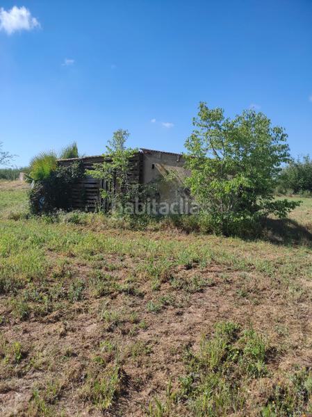 Foto 40739661-660d-4635-ba1b-641735df1435. Finca rústica a avinguda camí de reus 1 a Morell (El)