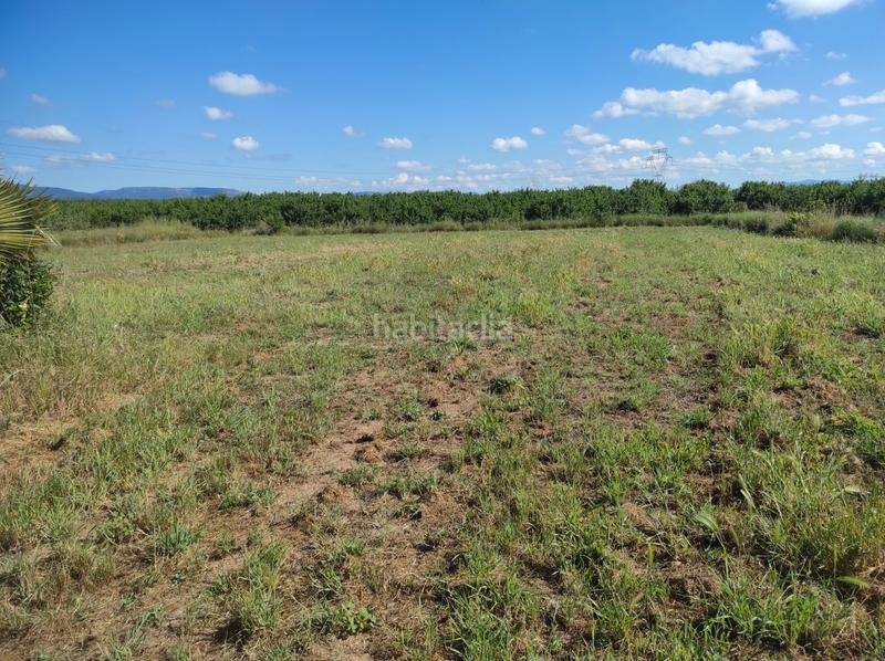 Foto 4a6f381b-cf72-47e7-b33e-48feeab885c9. Finca rústica a avinguda camí de reus 1 a Morell (El)