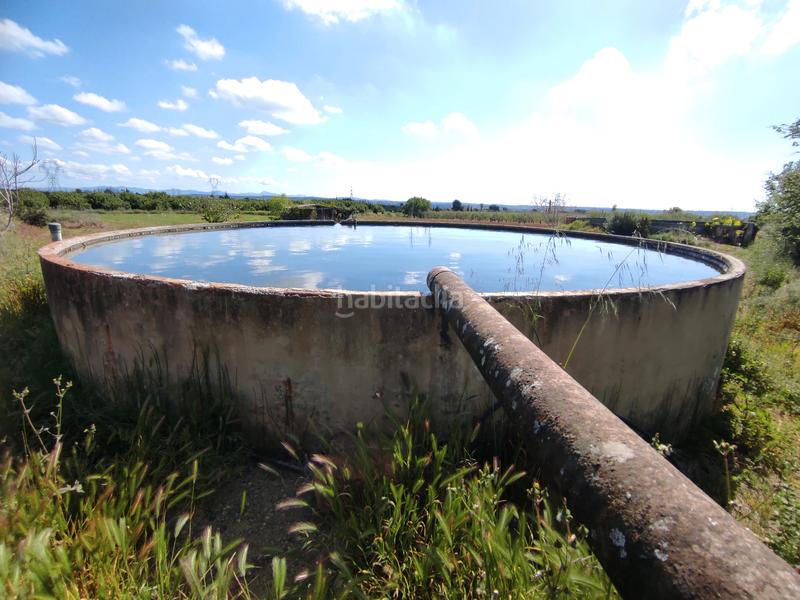 Foto 51b5fac6-6ad3-4e70-b442-1d90e5918842. Finca rústica a avinguda camí de reus 1 a Morell (El)