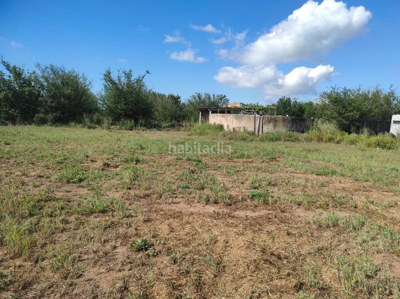 Foto 59d4a31b-2bbc-412c-a7bd-44c968b55135. Finca rústica a avinguda camí de reus 1 a Morell (El)