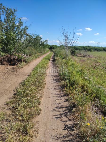 Foto 85034461-b530-4085-b73d-c33412833179. Finca rústica a avinguda camí de reus 1 a Morell (El)