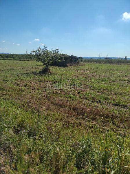 Foto 8c0dd7ed-cd4d-4113-aaa0-75ade658c5e1. Finca rústica a avinguda camí de reus 1 a Morell (El)