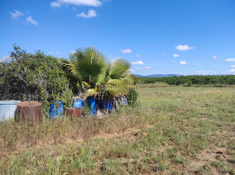 Foto 946621c5-cf36-431f-b920-477dbd7186a5. Finca rústica a avinguda camí de reus 1 a Morell (El)