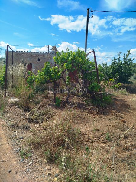 Foto e78ff89e-eba5-4eb6-ac73-448c892e959d. Finca rústica a n/a a Vilallonga del Camp