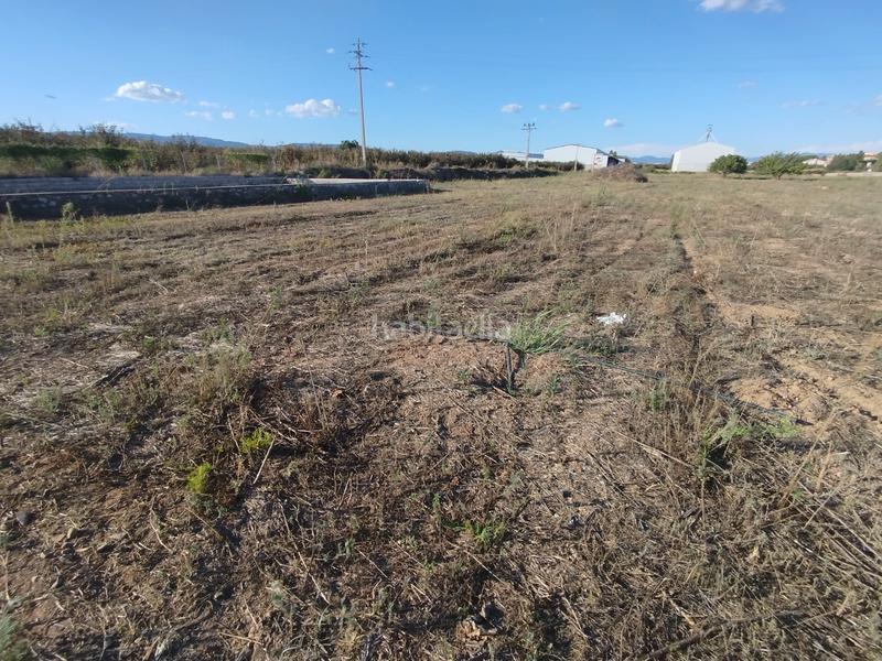 Foto 10926473-b1cb-4928-b7aa-6ff28666f02d. Landgut in avinguda de catalunya 30 in Vilallonga del Camp