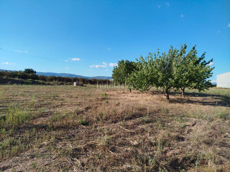 Foto 3be02ad5-8a63-4c45-9ab2-2773707ddb80. Landgut in avinguda de catalunya 30 in Vilallonga del Camp