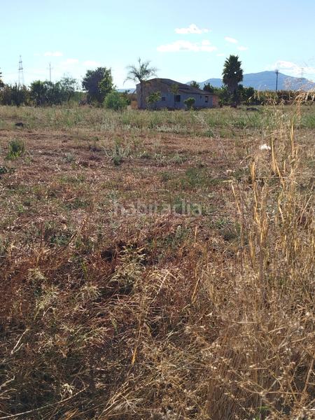 Foto 489c5e73-4991-4118-a97c-0afed7a3b801. Landgut in avinguda de catalunya 30 in Vilallonga del Camp