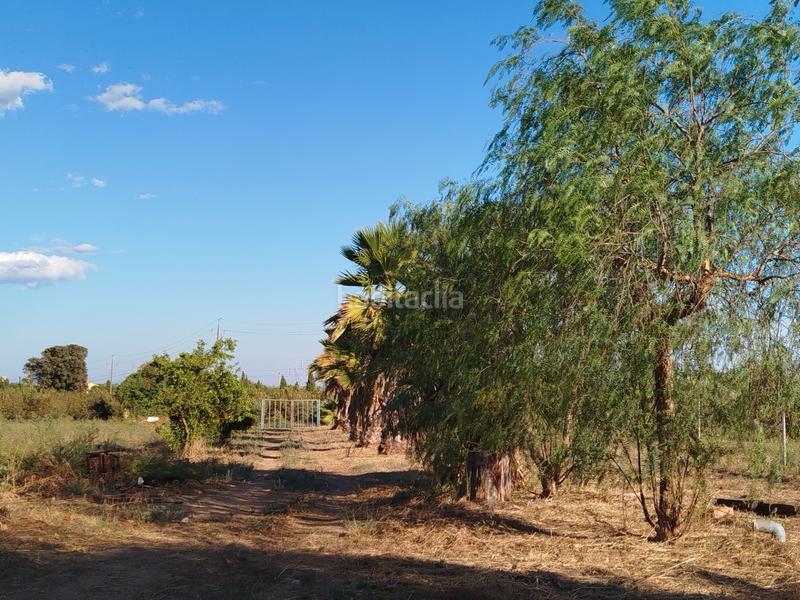 Foto 5aeb01a7-9669-4757-bd78-e9253a7c8202. Landgut in avinguda de catalunya 30 in Vilallonga del Camp