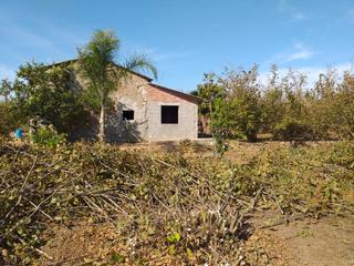 Finca rústica en Avinguda de catalunya 30. Finca rustica